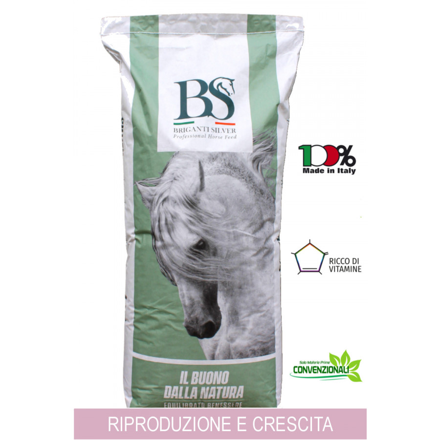 SILVER  spray sacco 25kg