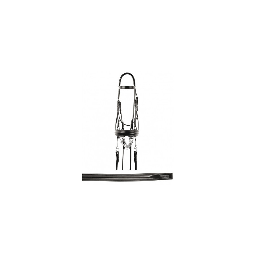 briglia dressage