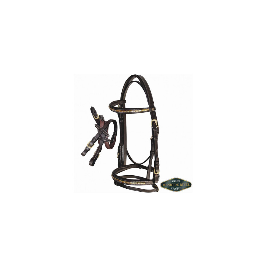 Briglia concorso clinker