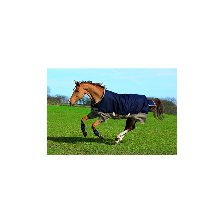 Coperta paddock Amigo mio lite