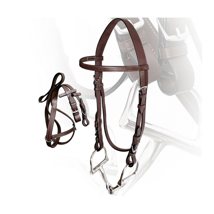 Briglia da allenamento